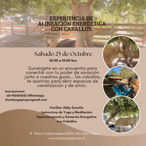 Experiencia Alineacion Energetica con Caballo