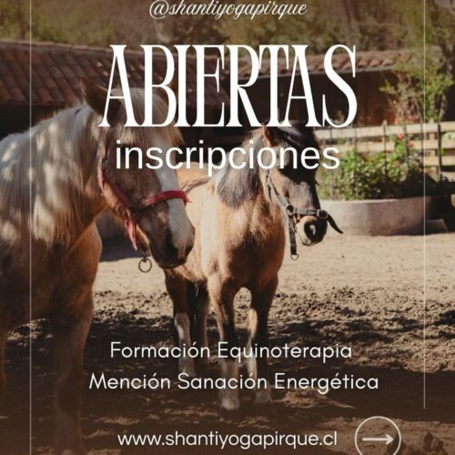 Formación Equinoterapia Mención Sanación Energética